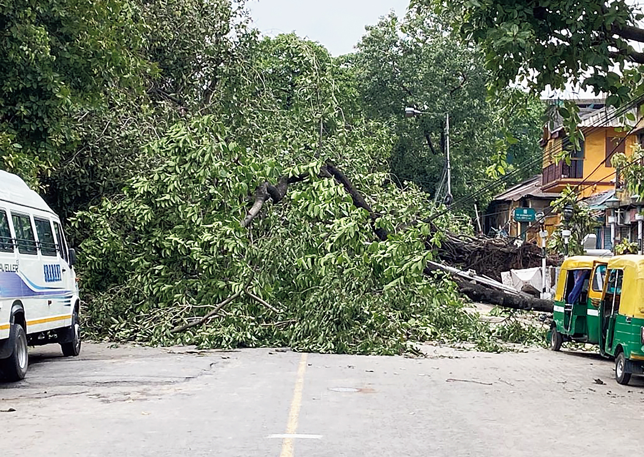 Northern Avenue in Paikpara