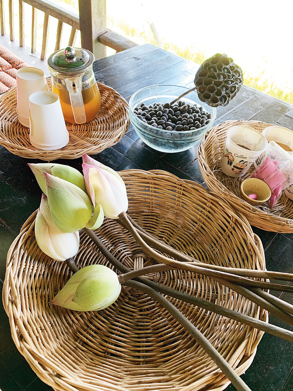 At the Samatoa Project itself, they teach you to make lotus decorations while drinking lotus tea