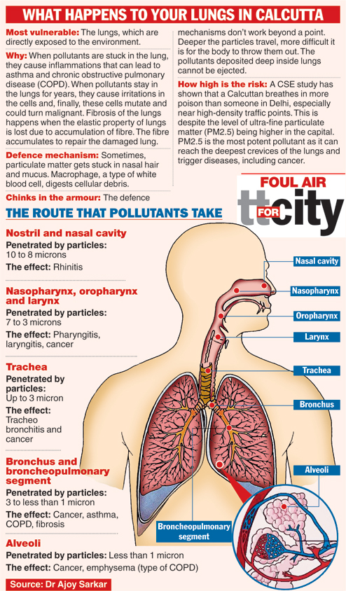 Cancer risk with every breath - Telegraph India