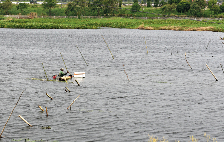 Villagers fish in a patch of land that was flooded during Cyclone Amphan, near Delhi Road Netaji More in Bengal on Monday.