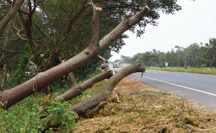 The branches of fallen trees have been cut to clear the Durgapur Expressway at Singur in Bengal.