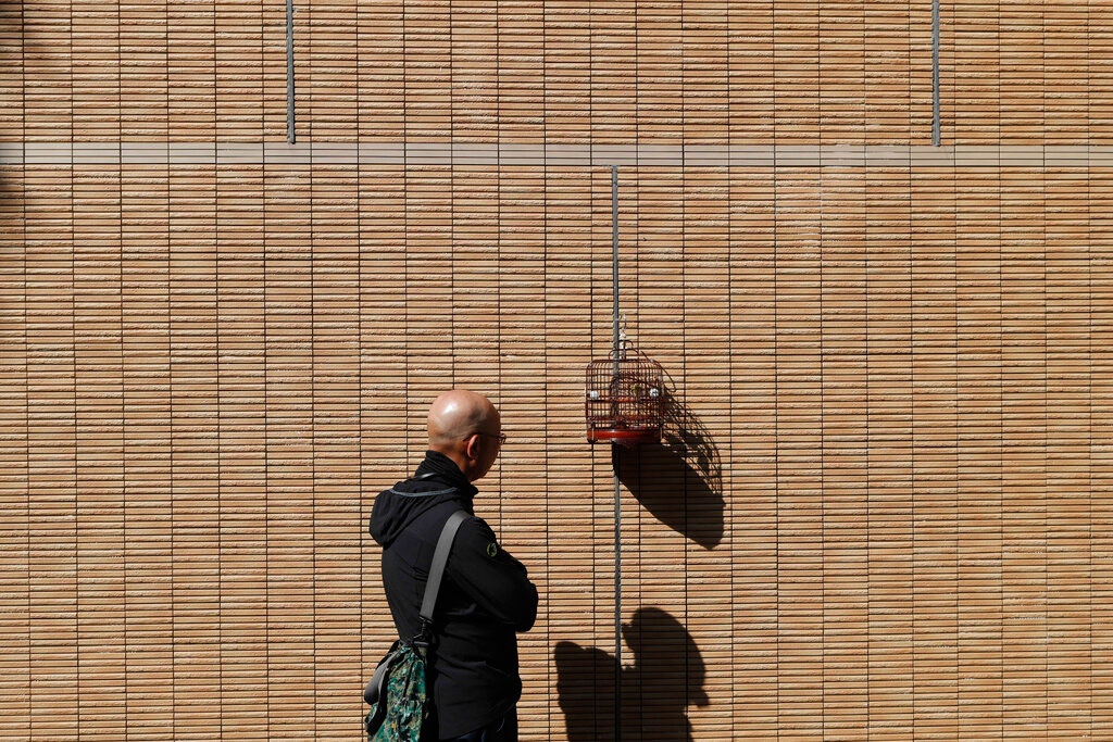 A man looks at birds in a cage at Yuen Po Street Bird Garden in Hong Kong on Friday.