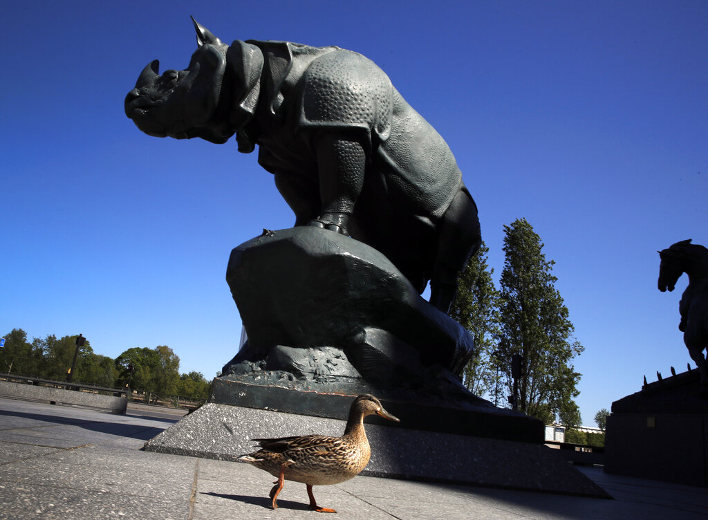 A duck walks past statues of a rhinoceros and horse in front of the Orsay museum during a nationwide confinement to counter the Covid-19 in Paris Tuesday, April 14, 2020.