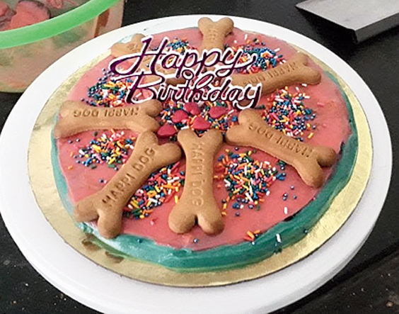 A dog cake from Deb’s Pet Care