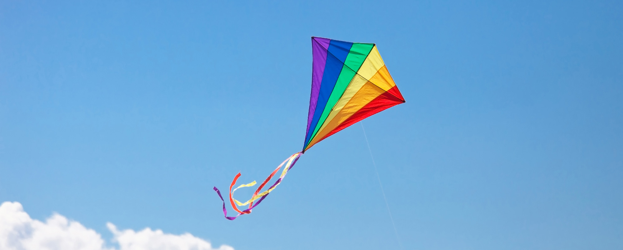 The joy of flying a kite should not turn into the misfortune of birds and other creatures