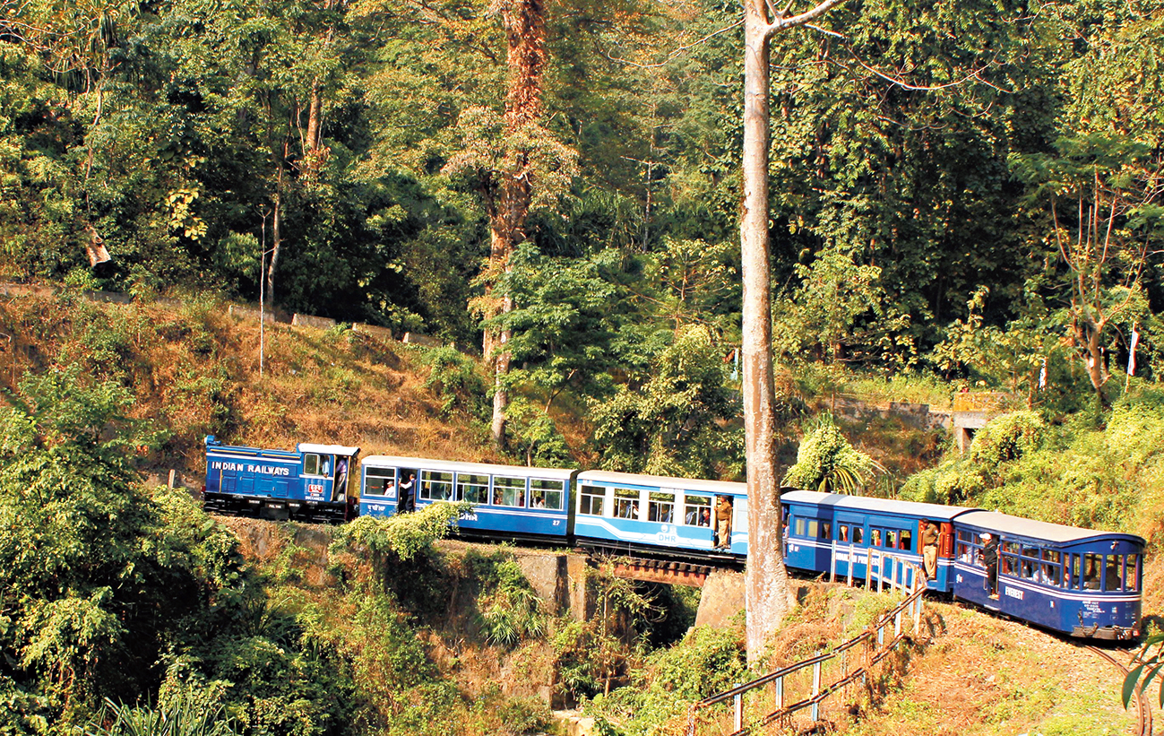 njp to darjeeling toy train