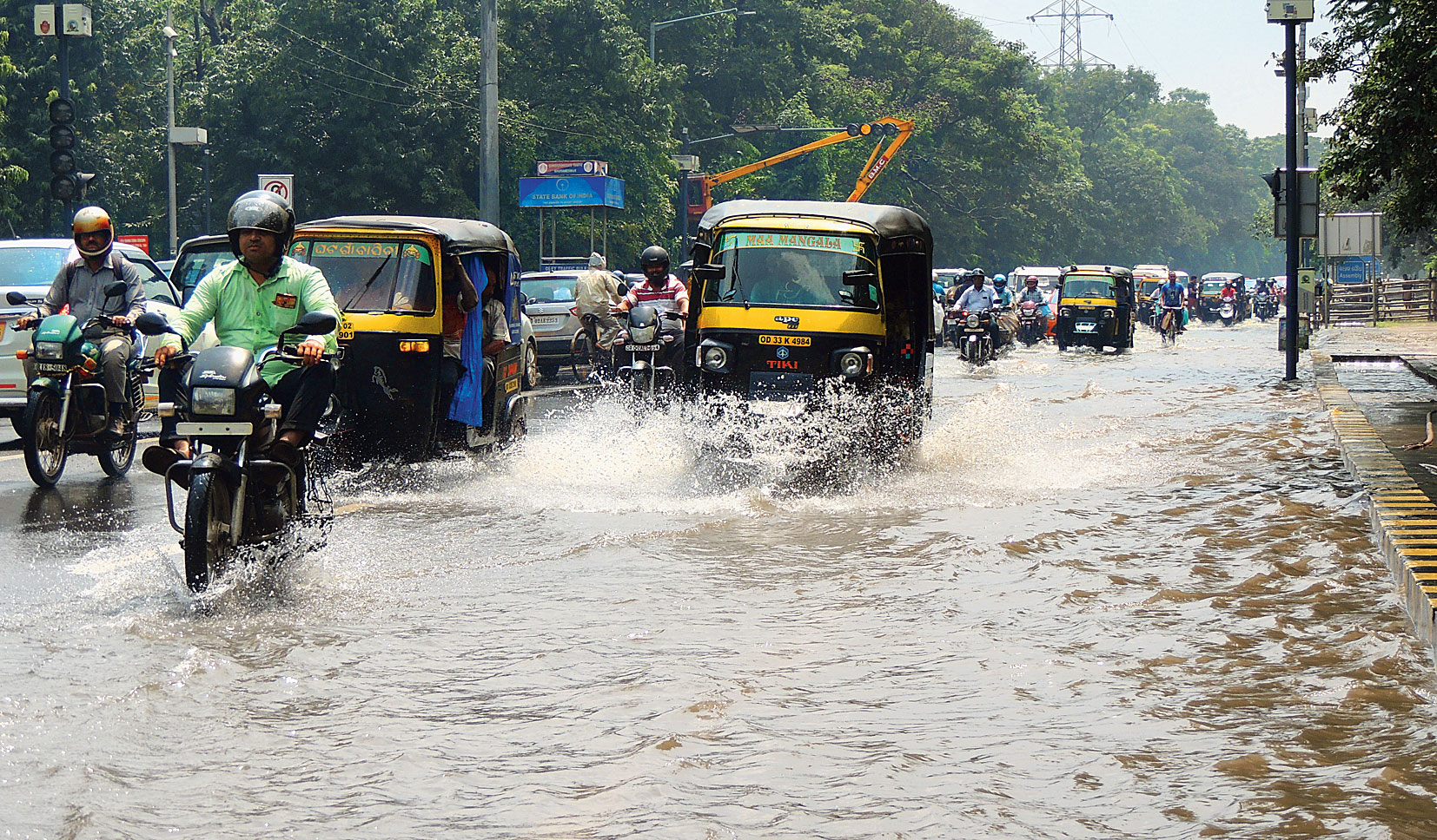 Bhubaneswar Municipal Corporation | Titli uproots trees, triggers rain ...