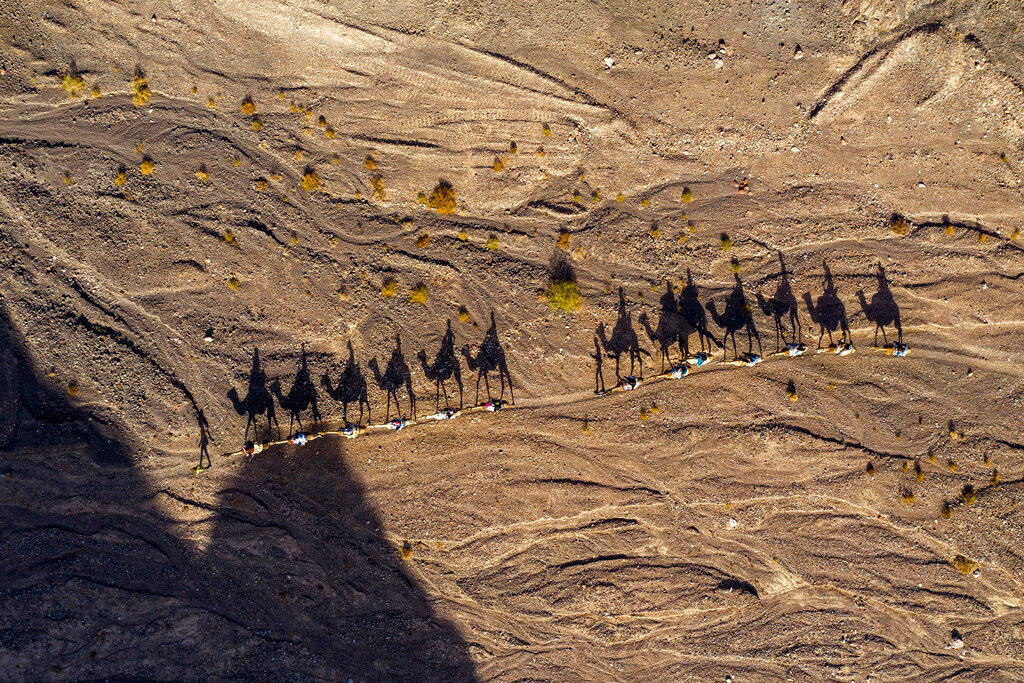 People ride camels during Hanukkah in the desert near the southern Israeli city of Eilat on Thursday.