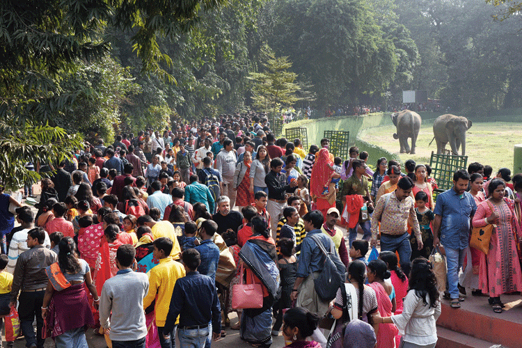 The crowd at Alipore zoo