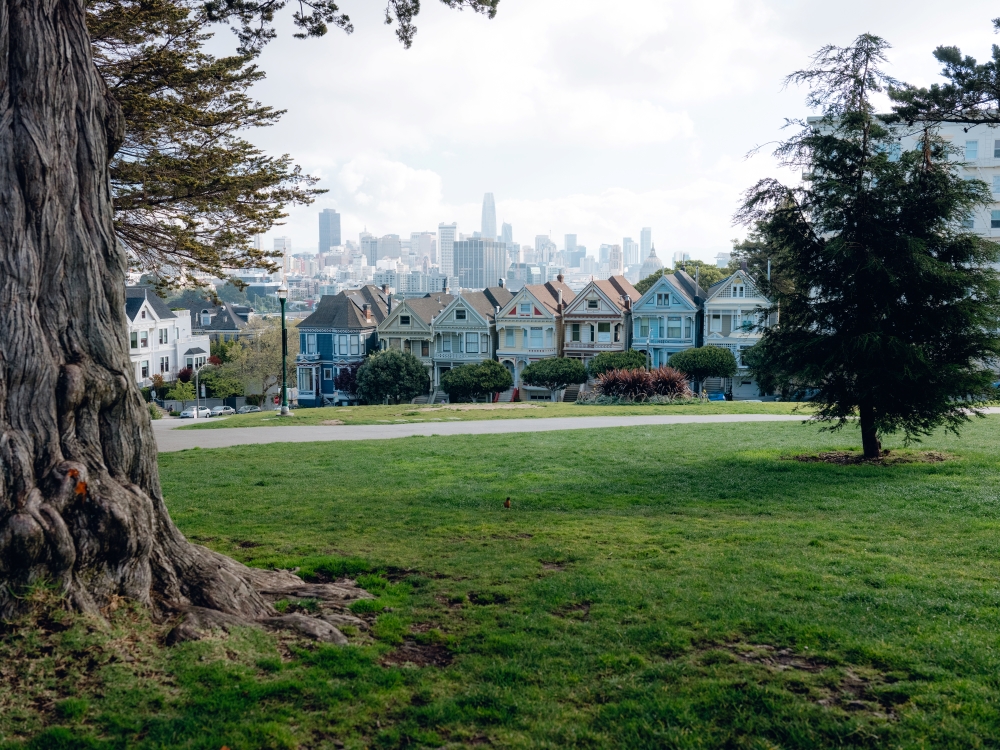 The Painted Ladies, a group of Victorian and Edwardian houses in San Francisco's Alamo Square Park, a popular tourist destination in San Francisco, March 19, 2020