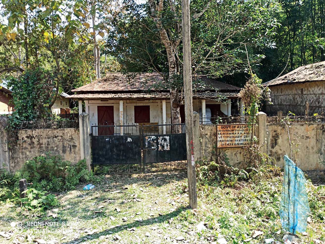 Plea to build vet centre in Assam’s Karimganj district - Telegraph India