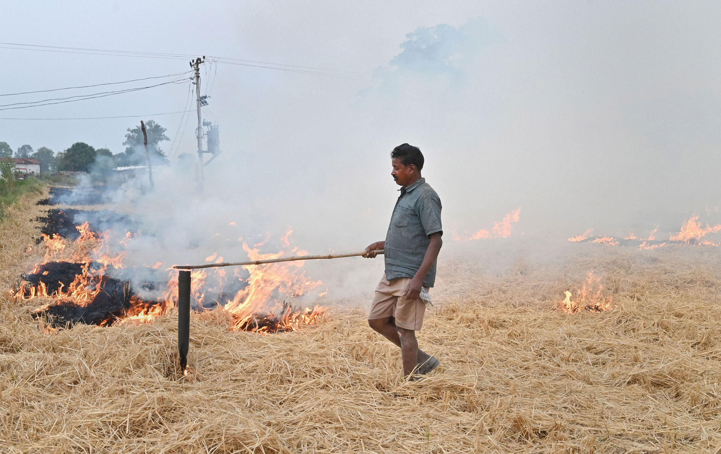 A farmer burns paddy stubble at a farm on the outskirts of Jabalpur on November 17, 2019. Crisis in India does not create tough thinking; we merely try to survive the crisis. What does a citizen do when democracy and governance have no answer to the crisis of pollution?