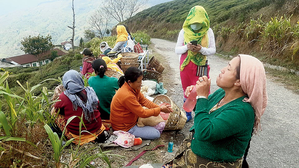 Women workers take rest after plucking of tea leaves in a garden in the Darjeeling hills on Tuesday.