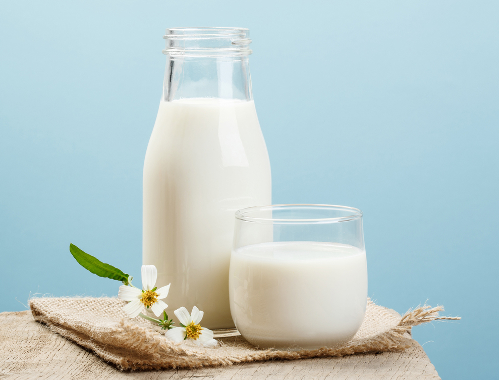 Milk intolerance is different from milk allergy, which occurs when the body identifies milk protein as a foreign substance and forms immunoglobulins to it. 