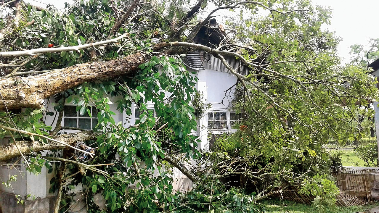 Among the damaged houses in yesterday's storm were these two on