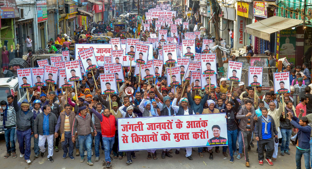 Farmers protest the destruction of crops by wild animals in Muzaffarpur on December 20