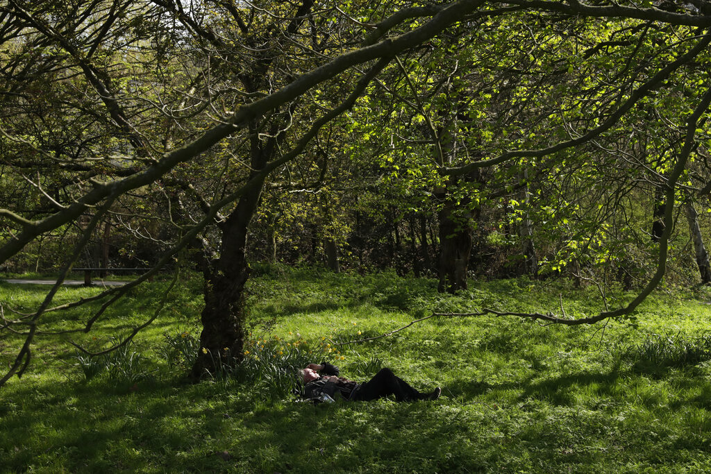 A man lies isolated beneath a tree as people observe social distancing in Regent's Park, London, as London's parks remain open with the warning that they will close if people fail to observe the British government guidelines that include two metres social distancing from people that don't live in the same household, to help stop the spread of coronavirus, Saturday, April 4, 2020.