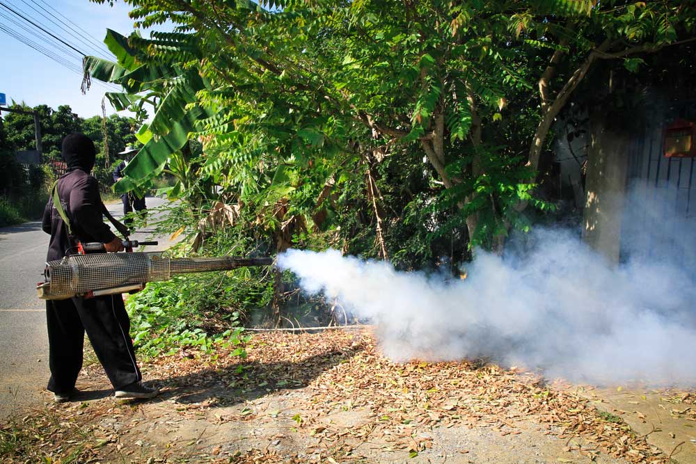 FOGGING: Virologists say the study from Brazil may also help explain India’s relatively few Zika outbreaks despite the widespread prevalence of Aedes aegypti.