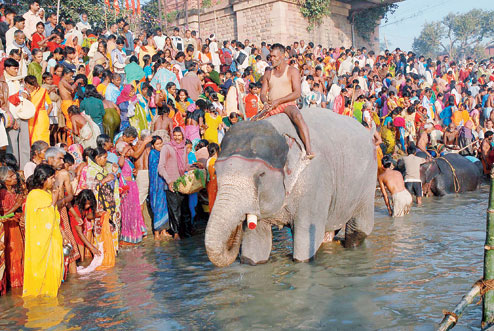 Animals & artefacts on fair podium - Sonepur Mela to shed rural charm &  embrace modernity to woo tourists - Telegraph India