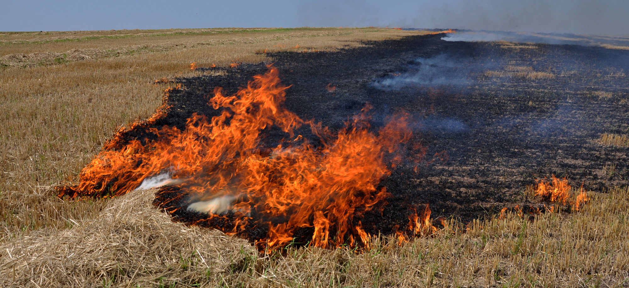 Air pollution Ban on stubble burning Telegraph India