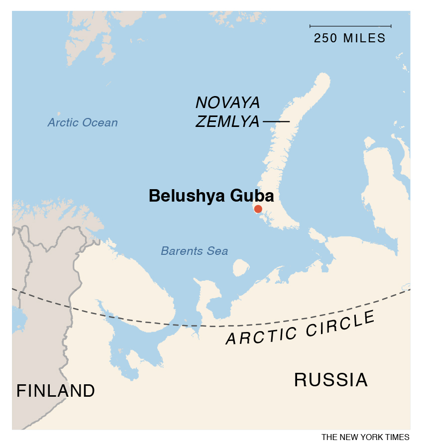 An absence of sea ice around the southern portion of the Novaya Zemlya island chain this year has most likely forced more bears than usual onto shore, Ilya N. Mordvintsev, a leading Russian expert on polar bears, said.