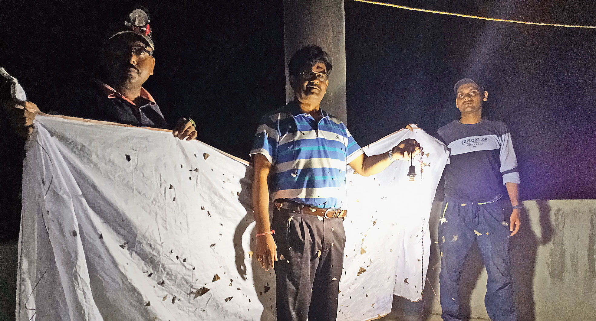 The team from Zoological Survey of India uses lights to attract moths in Dalma sanctuary. 