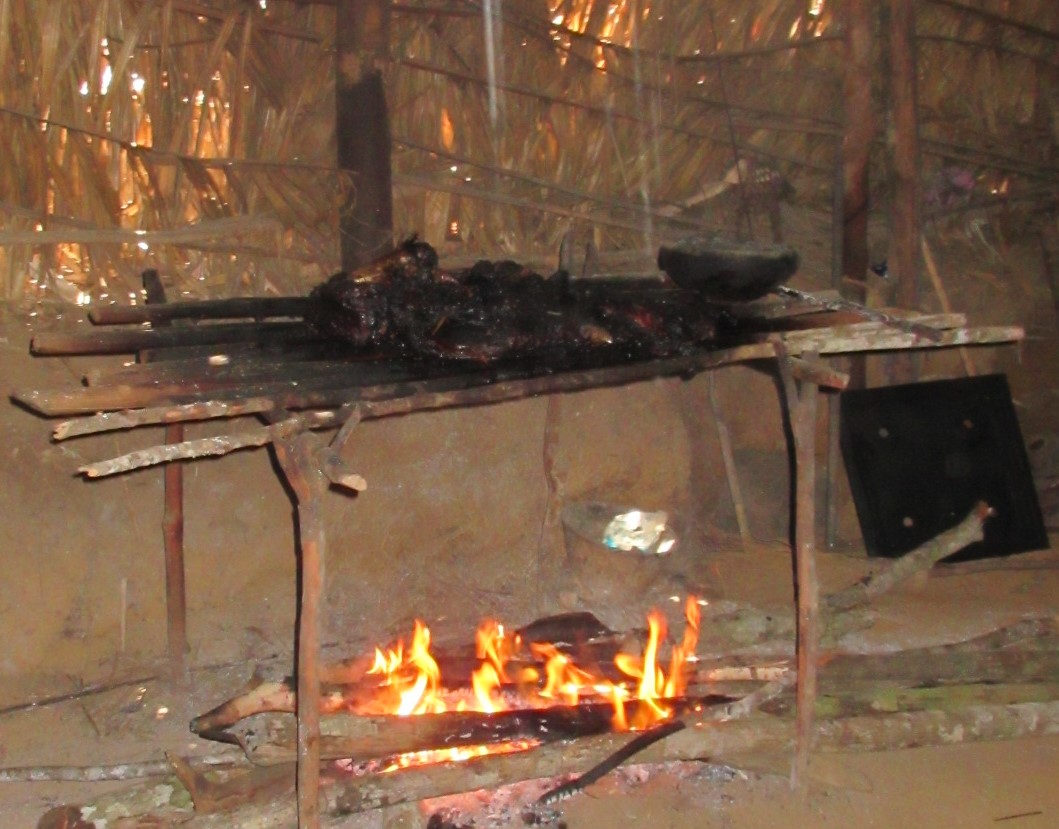 A jaguar being barbecued