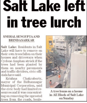 The Telegraph report on June 1