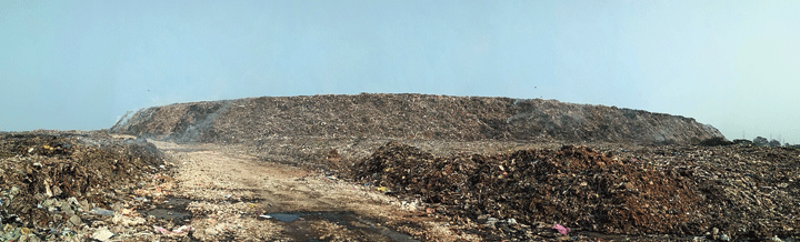 The Dhapa garbage mound 

