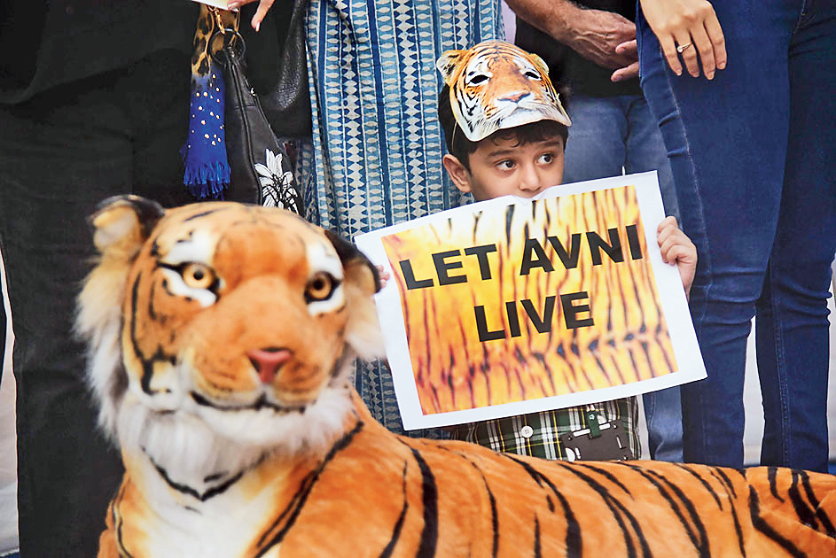 A child displays a placard during a protest against the 'shoot at sight' order for the tigress T1 (Avni), in Mumbai, Oct 19, 2018