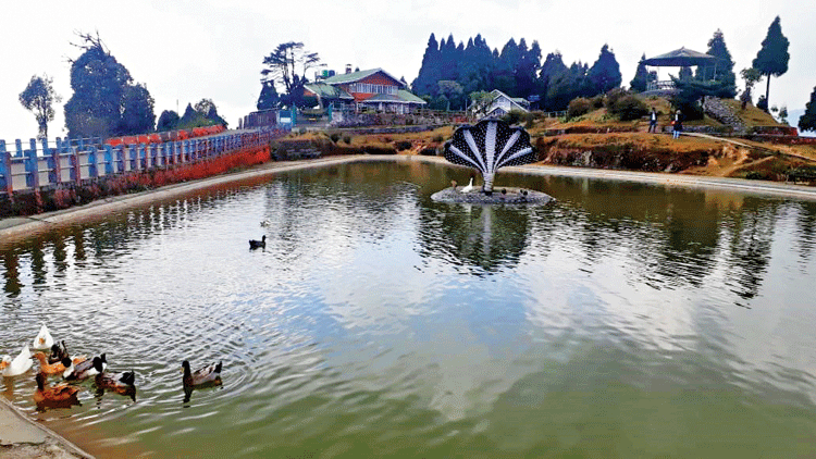 The concrete lake at Jorepokhri