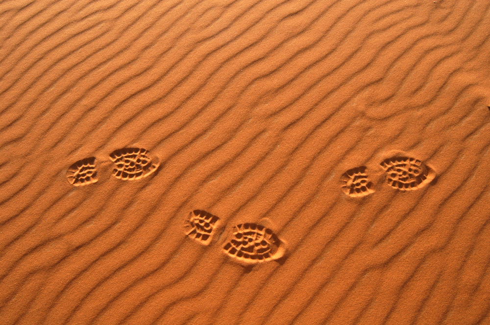 Khojis who specialise in tracking people by examining footprints on sand are becoming rare in the deserts of Rajasthan.