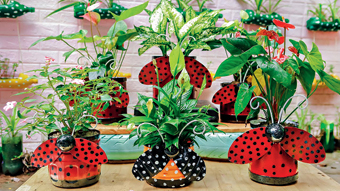 If your gardening is limited to a balcony, this YouTube channel is for you to follow