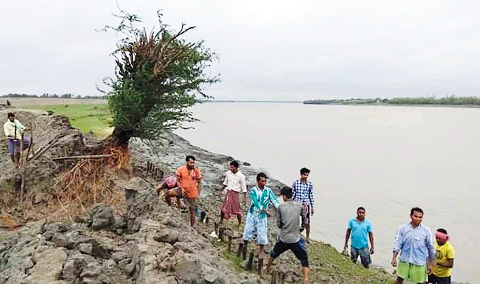 The pictures above show the repairs of other portions of the breached embankment at Sandeshkhali