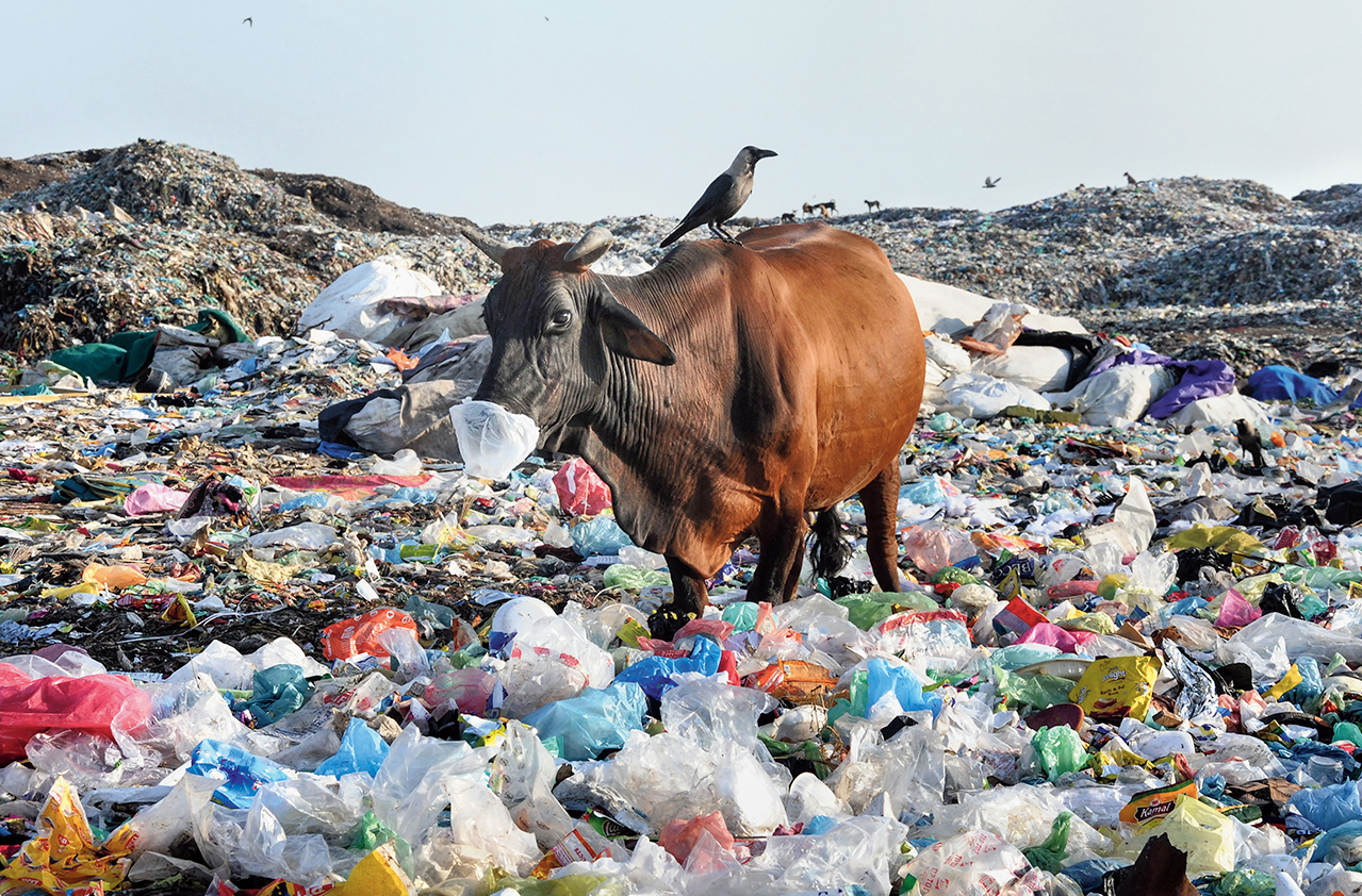 Single use Plastics Plastic Curbs To Spare Multi layered Packaging 