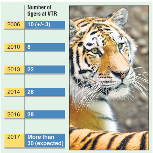 National animal roars in state's lone sanctuary - Telegraph India