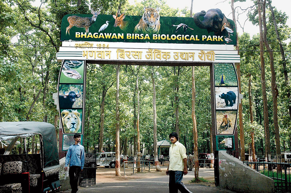 Birsa Munda Biological Park in Ormanjhi, Ranchi