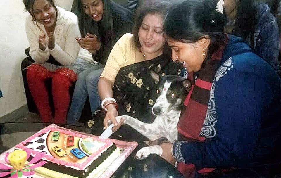 Pusu cuts the birthday cake in Ranaghat.
