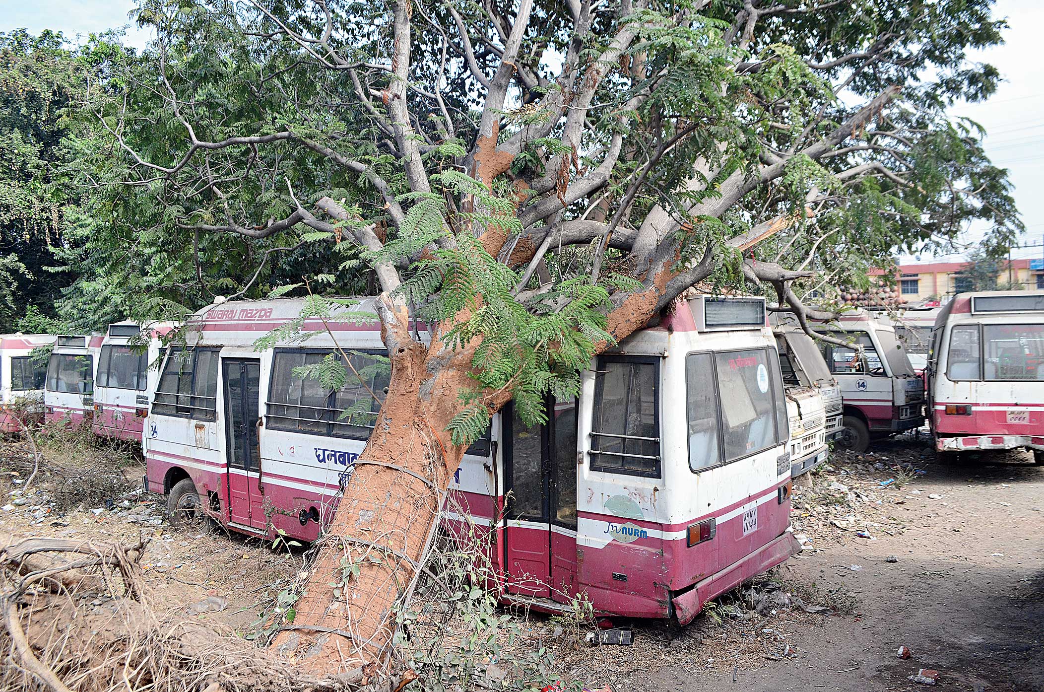 City buses lie grounded at Bartand depot in Dhanbad on Sunday. 
