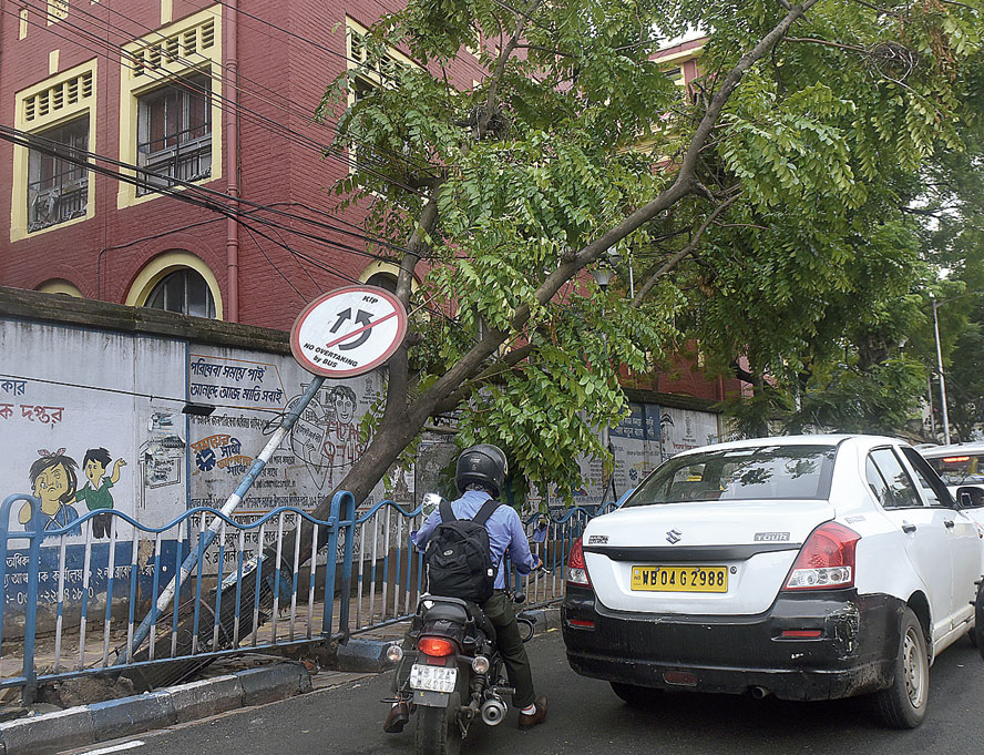 Damaged signage along Central Avenue leans on a tree on Saturday