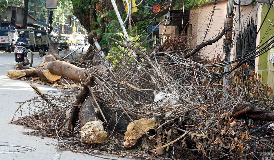 Little change: Branches lie along Hazra Road on Wednesday