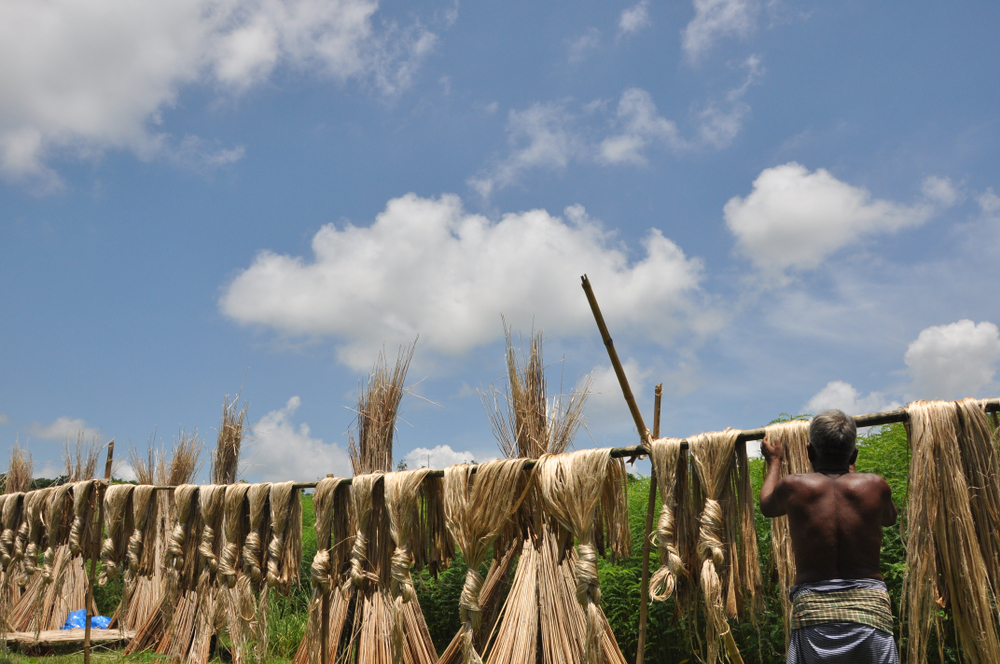 Move to tweak jute bag rule Telegraph India