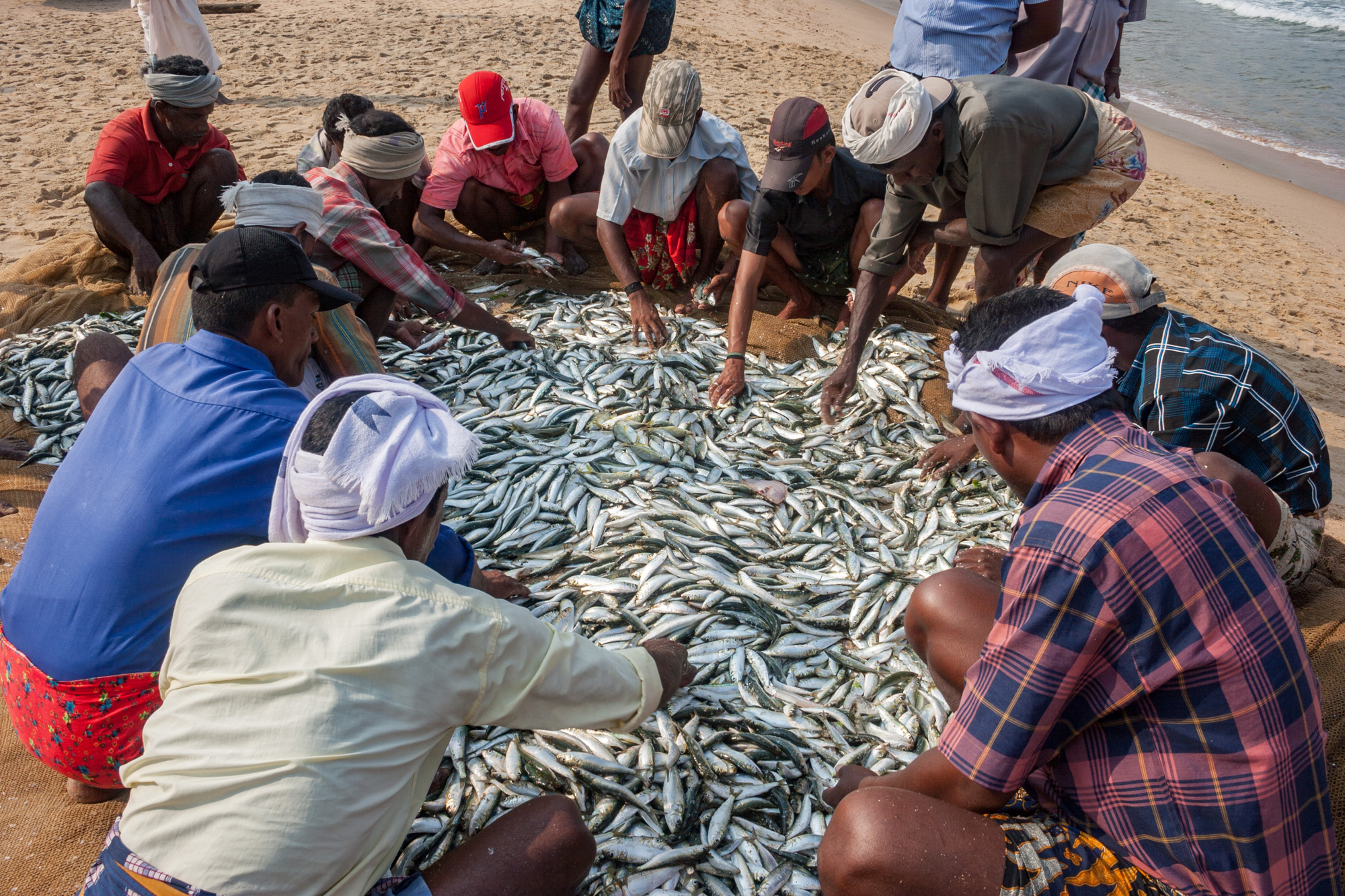 Fishermen in Kovalam, Kerala, sort through their catch. Kerala, a relatively prosperous state with a thriving fishing industry, drew Rs 11,108 lakh from in 2016-17, while Odisha drew Rs 27 lakh