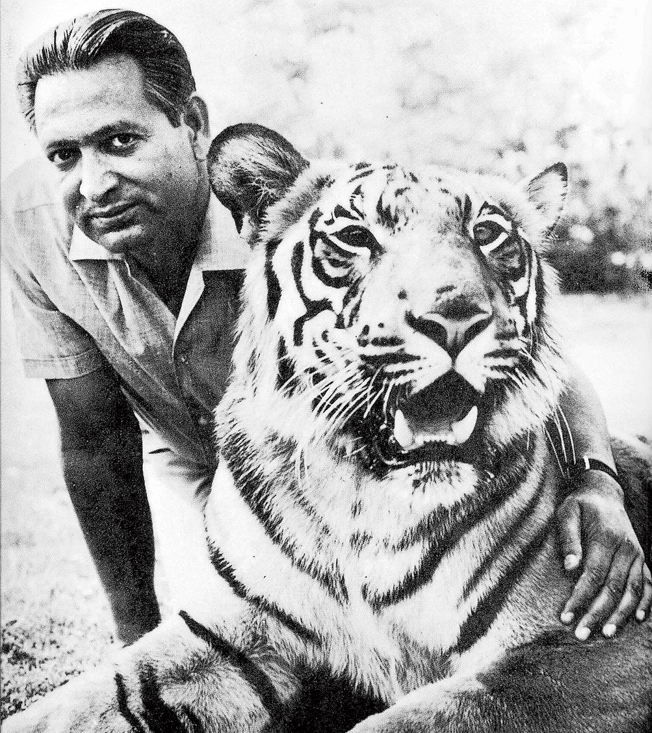 On International Tiger Day, the story of India’s tiger man