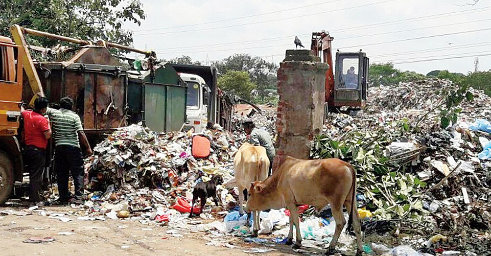 Stinking reality: A municipal vehicle collects garbage at Sati Chaura in Cuttack. 