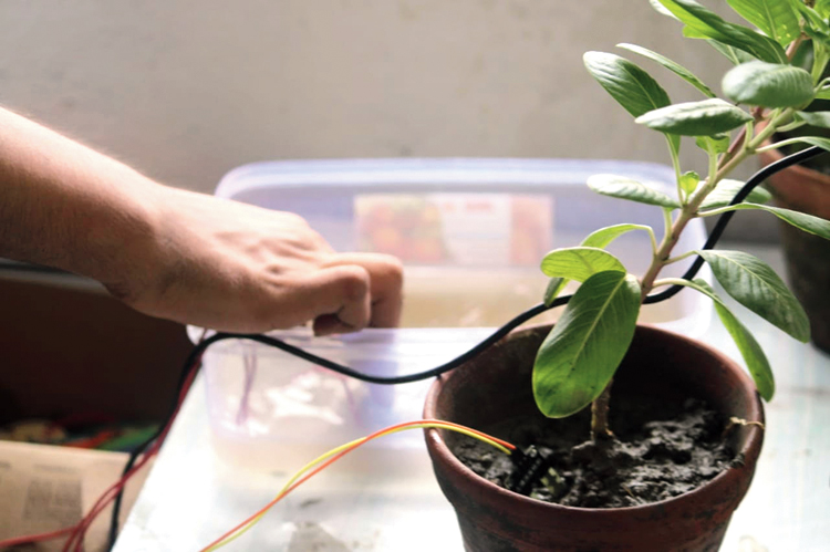 An automatic plant watering device