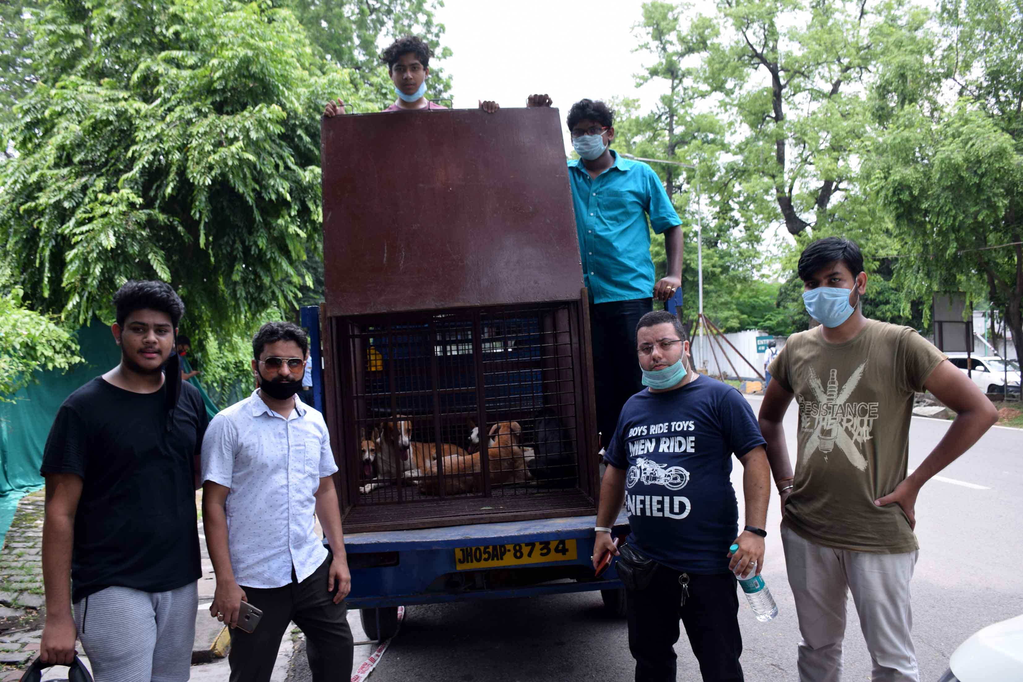 Animal rights activist with the canines in Bistupur on Tuesday.