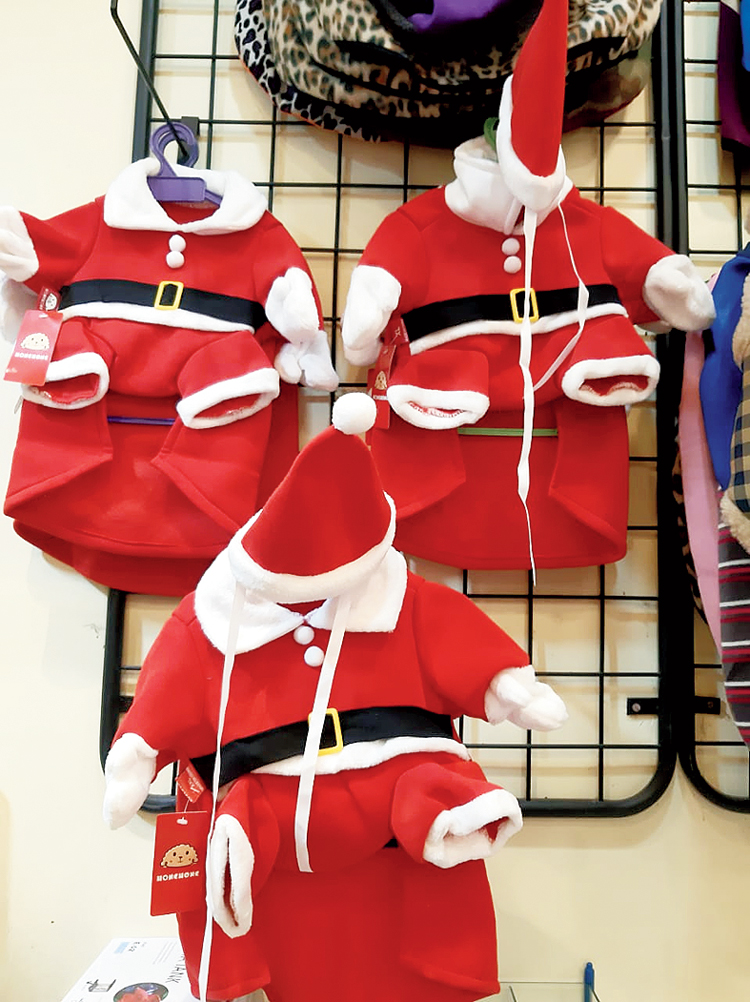Santa Claus outfit