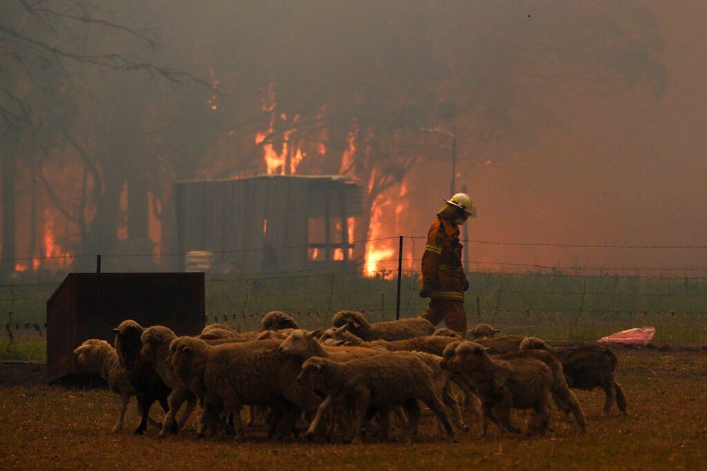 Fire fighters try to contain a blaze along the Old Hume Highway near the town of Tahmoor, New South Wales, Australia, on December 19