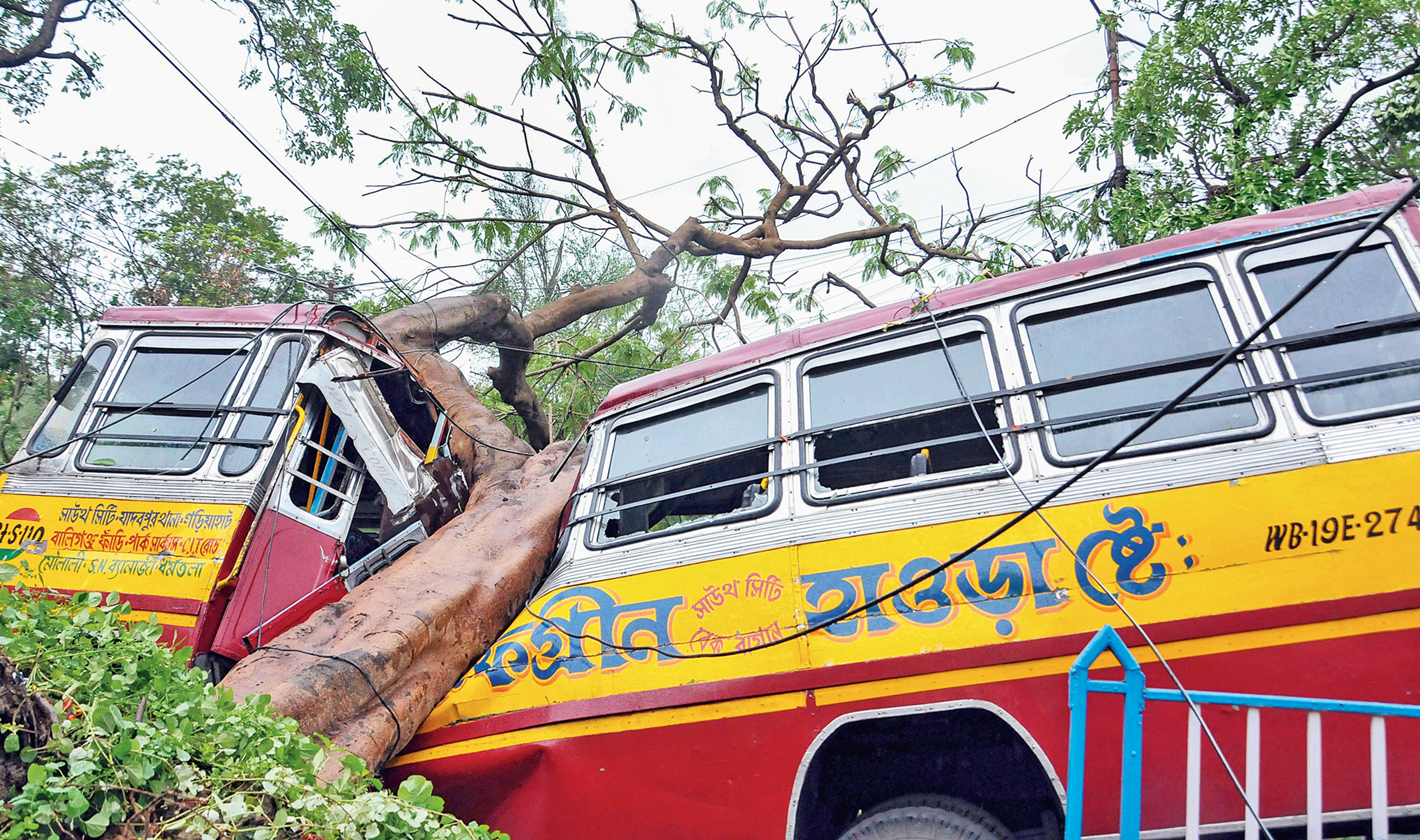 A tree uprooted in the cyclone slices through a parked bus in Calcutta. 